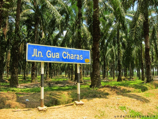 gua charas Panching, Kuantan