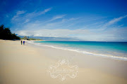 Beautiful Maui Beach Wedding Location (maui engagement portraits )