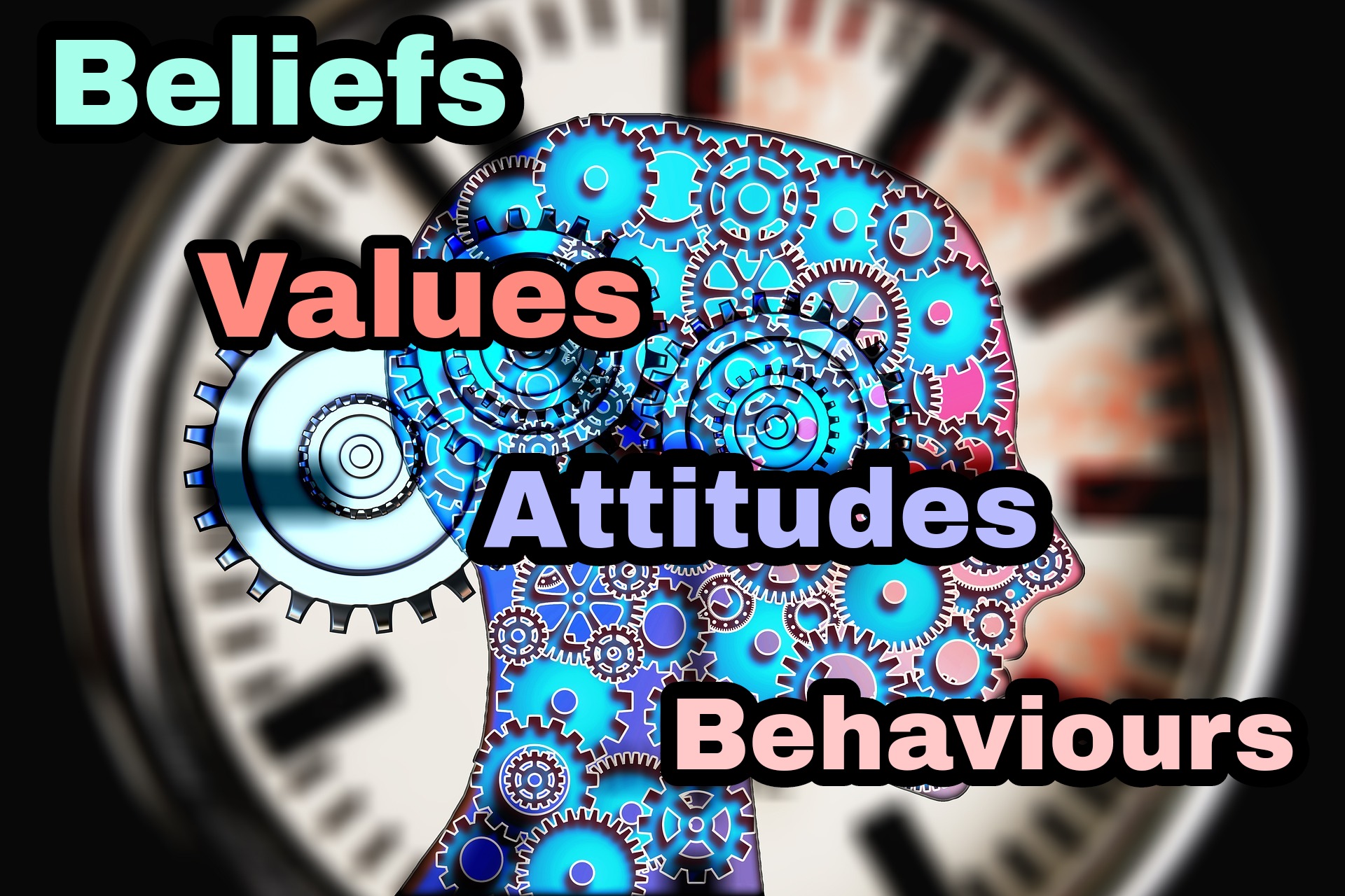 Relationships between Beliefs, Values, Attitudes, and Behaviours