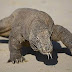 Pulau Komodo Dapat Sokongan Untuk Menjadi Antara Tujuh Keajaiban Dunia