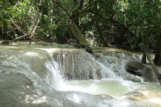 I visited Wang Kan Leuang Arboretum and Wang Kan Lueang Waterfall
