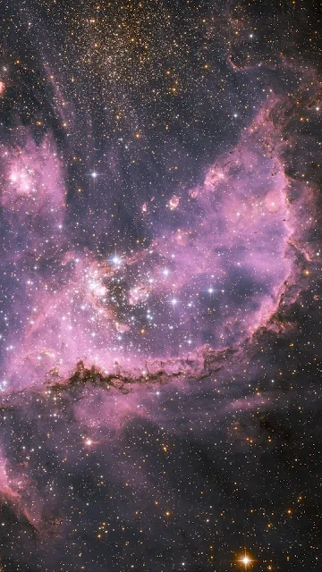 Universe, Purple, Space, Nebula, Stars