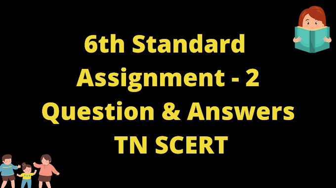 6th Assignment 2 Question and Answer key 