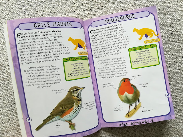 || Petit guide de poche Les oiseaux des jardins (Présentation & Avis)(Chut, les enfants lisent # 109)