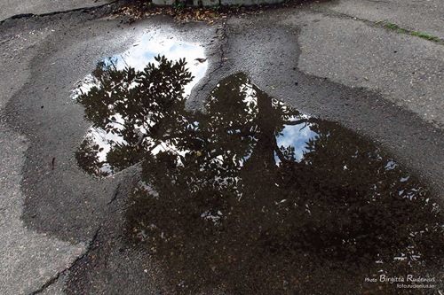 torsdag_20110623_regn