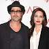 Brad Pitt and Angelina Jolie sued by French interior designer 