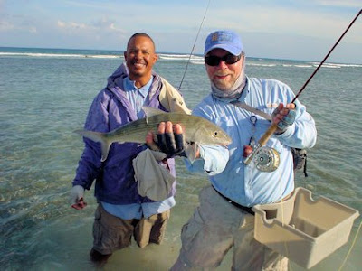 Belize bonefish