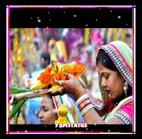 Best happy chhath puja status video download-New For Whatsapp