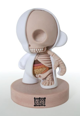 Anatomy Toys by Jason Freeny Seen On www.coolpicturegallery.us