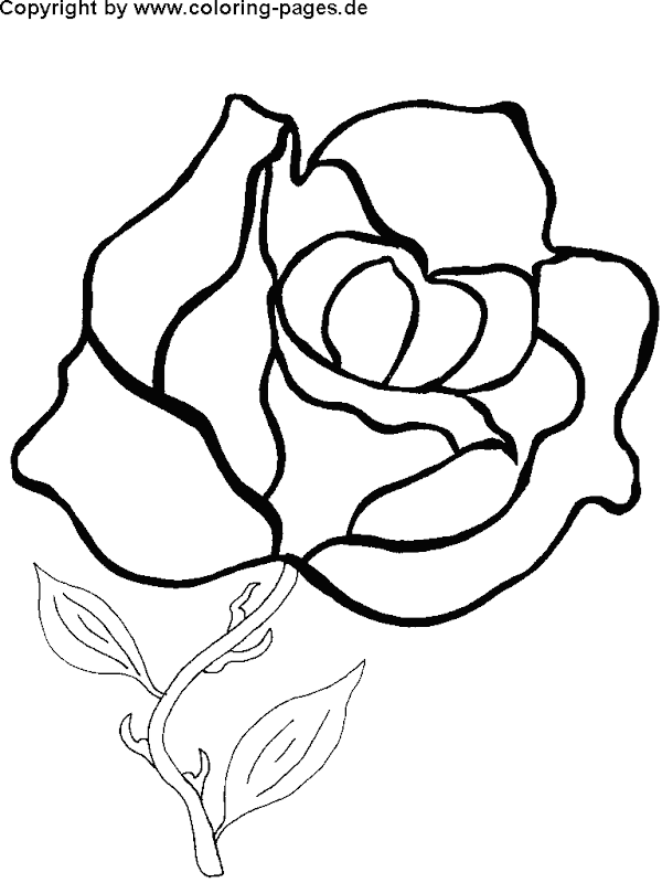 Free Flower Coloring Pages title=