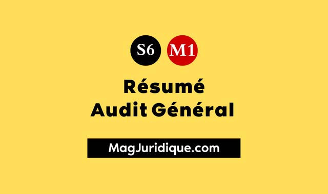 Résumé audit général s6 pdf