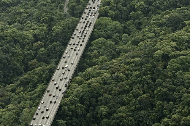 Fotografia de uma ponte entre topos de árvores. Carros trafegam pela ponte.