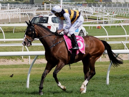 coongy cup_tom melbourne 2