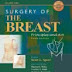 Surgery of the Breast: Principles and Art – 3rd Edition book download