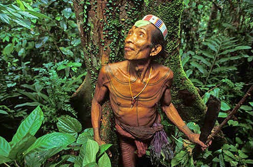 Suku Taman Nasional Siberut