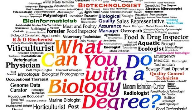 STEM Fields - Environmental Science Degree Jobs