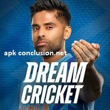 Dream Cricket 2024 APK