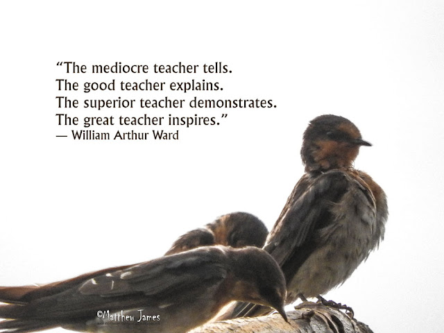 'The mediocre teacher tells. The good teacher explains. The superior teacher demonstrates. The great teacher inspires. ' - William Arthur Ward