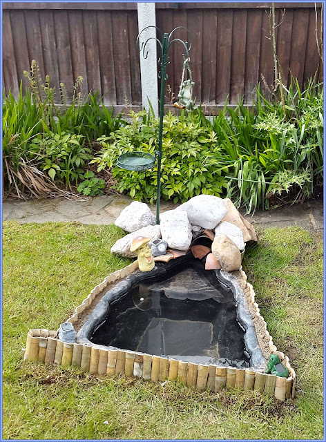 My Pond For Frogs - Before The Plants Grew