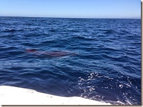 IMG_0003 IMG_0003