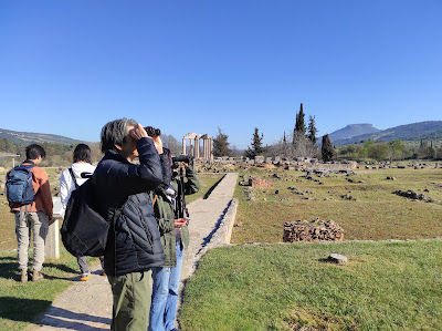 Birdwatching Peloponnese