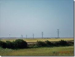 IMG_0477