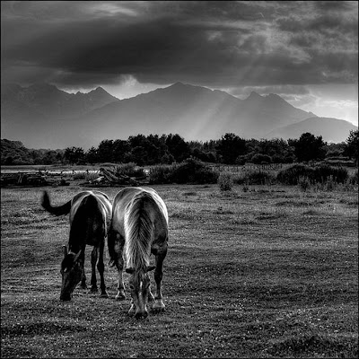 Amazing Breathtaking Landscapes by Maciej Duczynski Seen On www.coolpicturegallery.us