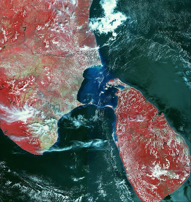 Satellite image of Bridge to Lanka,Sri Ram Sethu