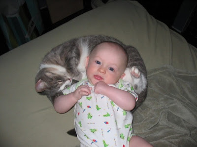 gambar kucing dan bayi