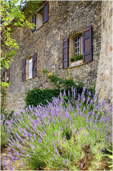 Gorgeous French Farmhouse interior design and decor on Hello Lovely Studio