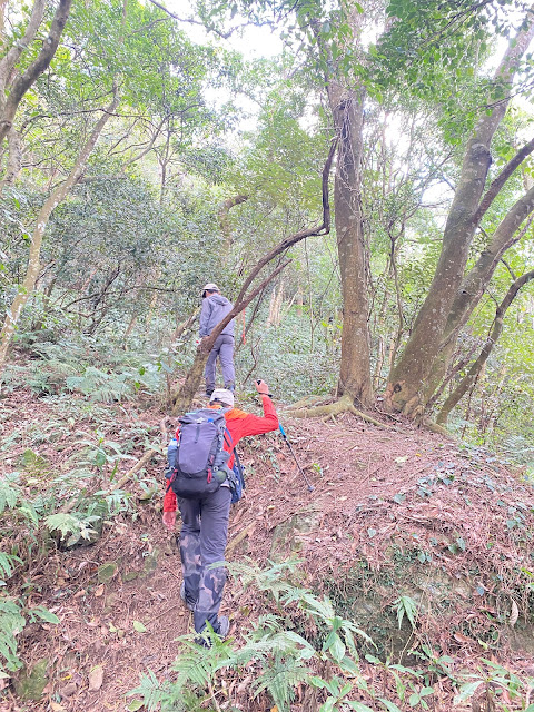 往關刀山西北峰