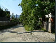 DSCN8198