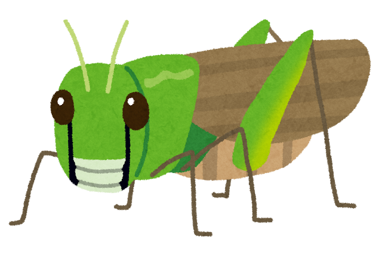 トノサマバッタのイラスト かわいいフリー素材集 いらすとや トノサマバッタのイラスト かわいいフリー素材集 いらすとや