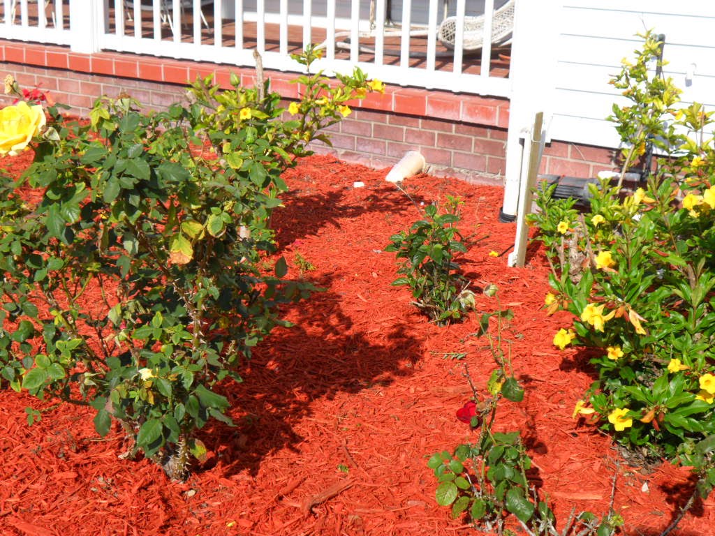 Red Mulch