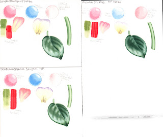Watercolour paper test D-R Langton Prestige, Moulin du Roy and Strathmore Imperial 500