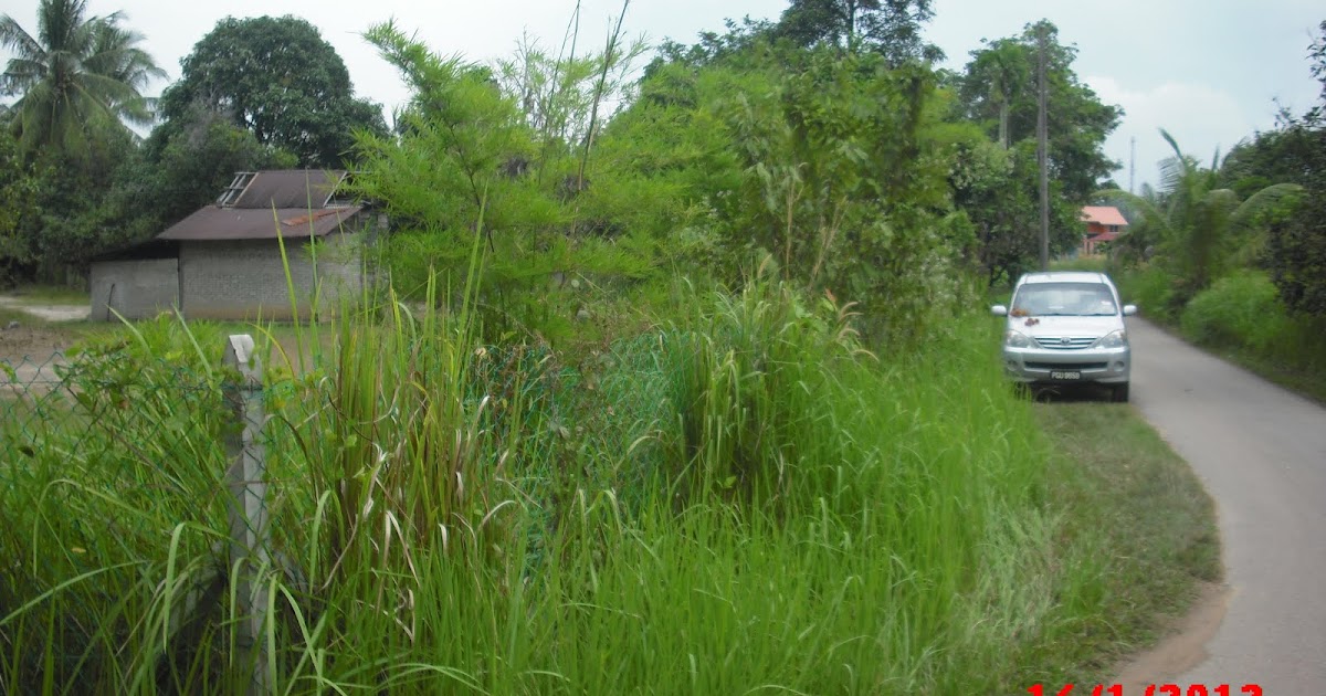 kedai tanah di kedah: Tanah di Teluk Bayu, sungai petani