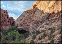 View of Morning Glory Arch in the Summer