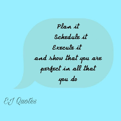 Achieving Goals Quotes - Plan it schedule it execute it and show that you are perfect in all that you do