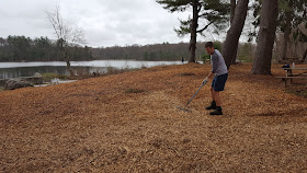 Deputy Town Administrator Jamie Hellen helped to knock down and spread out a pile of mulch