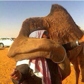 Funny animals of the week - 24 January 2014 (40 pics), camel hugs human