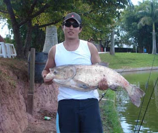 Felipe – Carpa Cabeçuda 16 kg