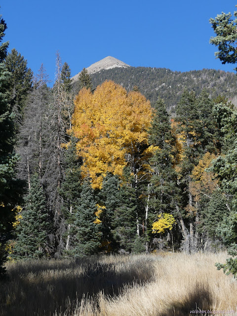 005: pointy peak over yellow leaves