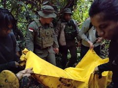 Melawan saat Ditangkap, Satgas Madago Raya Tindak Tegas 1 DPO Teroris MIT 