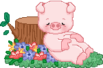 Gif de porquinho