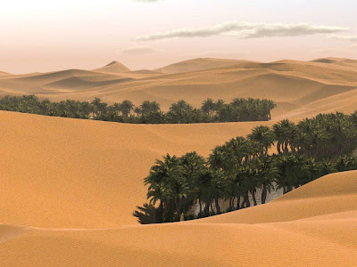 Beautiful Desert Normal Resolution HD Wallpaper 3
