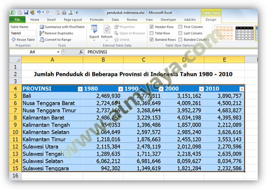  Gambar: Tabel Baru di Microsoft Excel