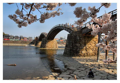 Cool and Beautiful Scary Bridges