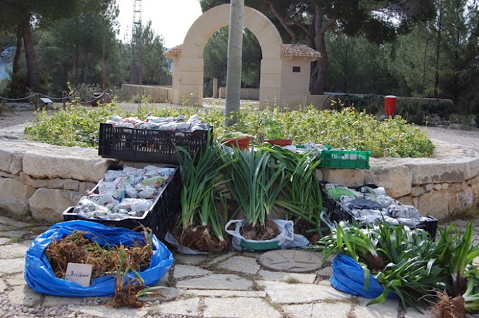 Jardin Botanico De Jalon