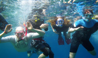 Snorkeling Tour 