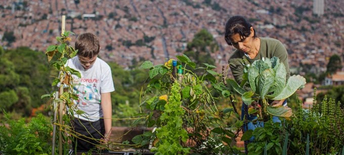 Medellín firma alianza por la economía circular para avanzar hacia la sostenibilidad